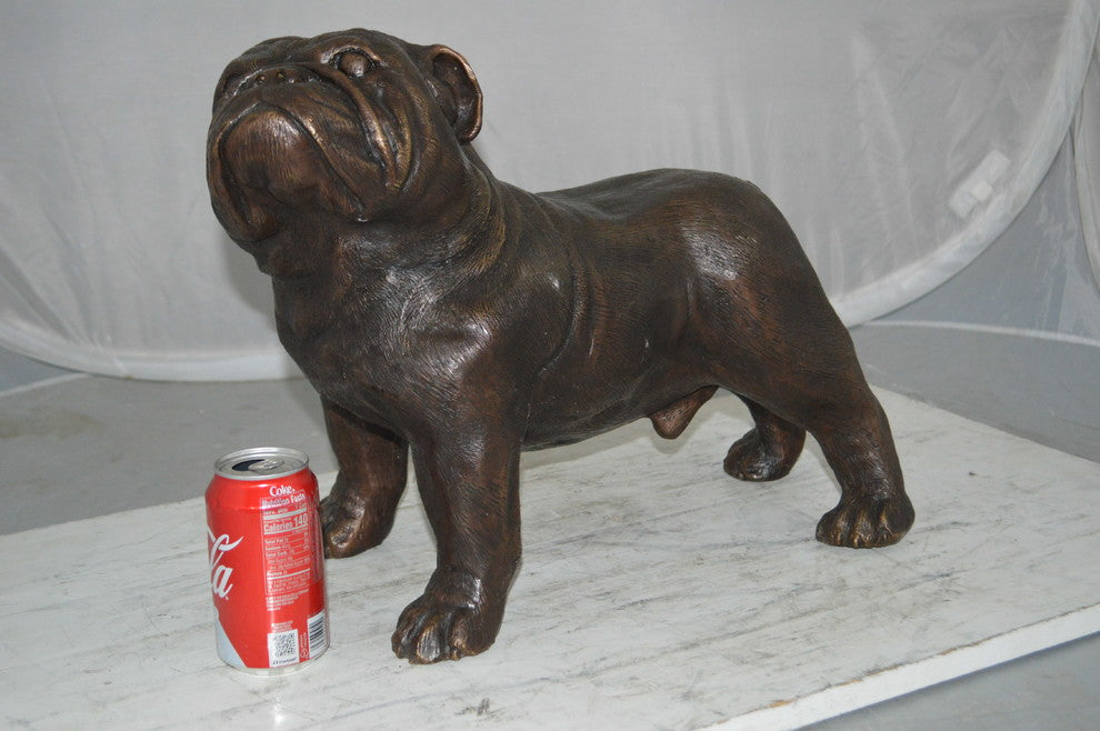 Bulldog Bronze Statue -  Size: 20"L x 9"W x 15"H.