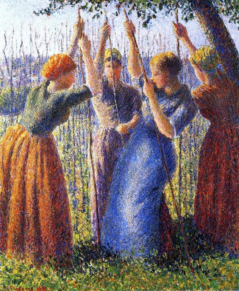 Camille Pissarro Peasant Women Planting Stakes Gallery Wrapped Canvas Print
