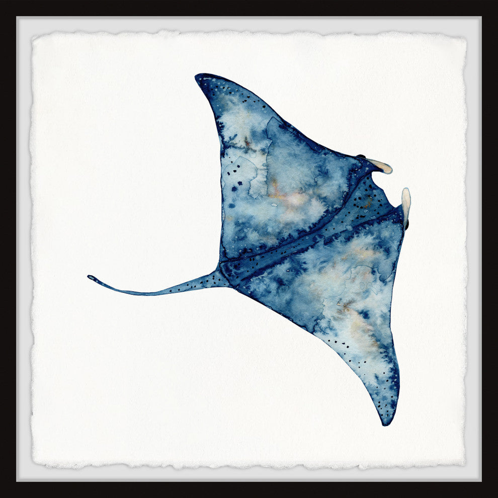 "Wild Stingray" Framed Painting Print, 18x18