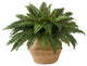 23in. Artificial Boston Fern Plant with Handmade Jute & Cotton Basket DIY KIT