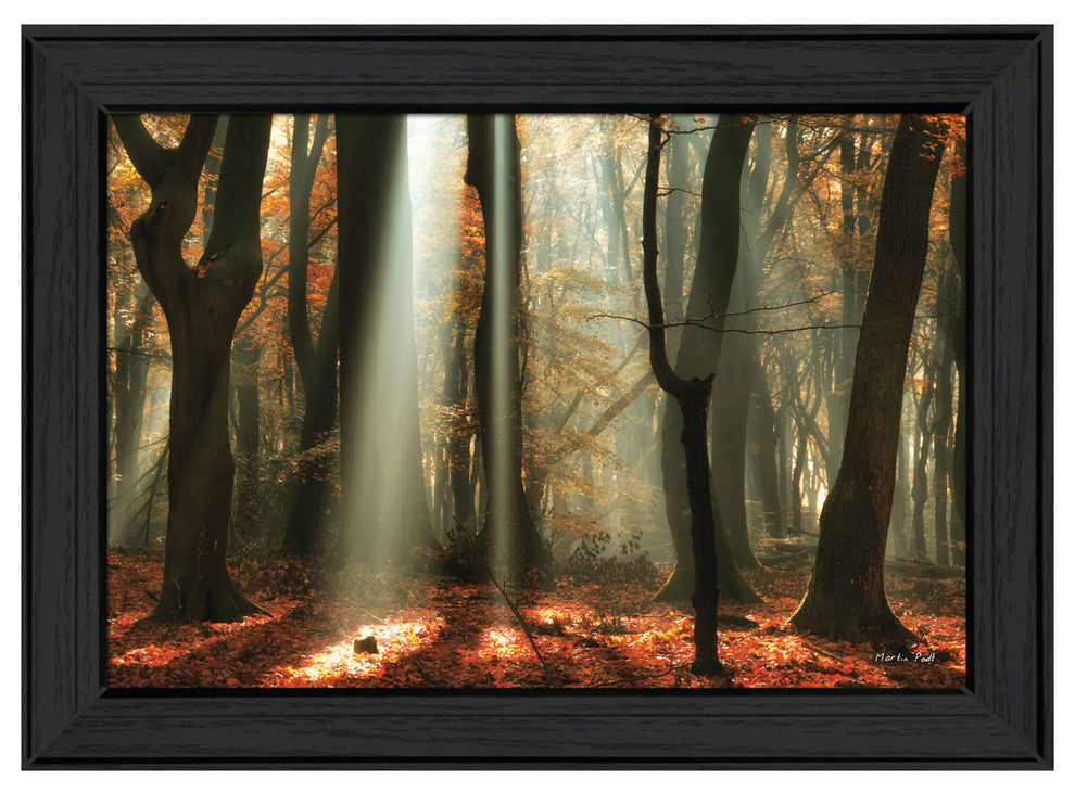"Beam Me Up" By Martin Podt, Printed Wall Art, Ready To Hang, Black Frame