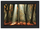 "Beam Me Up" By Martin Podt, Printed Wall Art, Ready To Hang, Black Frame