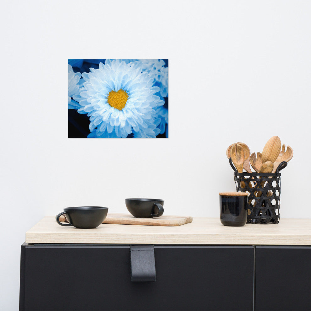 Blue Tinted Chrysanthemums Floral Nature Photo Loose Wall Art Print, 11" X 14"