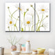 Ready2HangArt 'Ox Eye Daisies' 3-Piece Canvas Wall Decor Set, 36"x24"