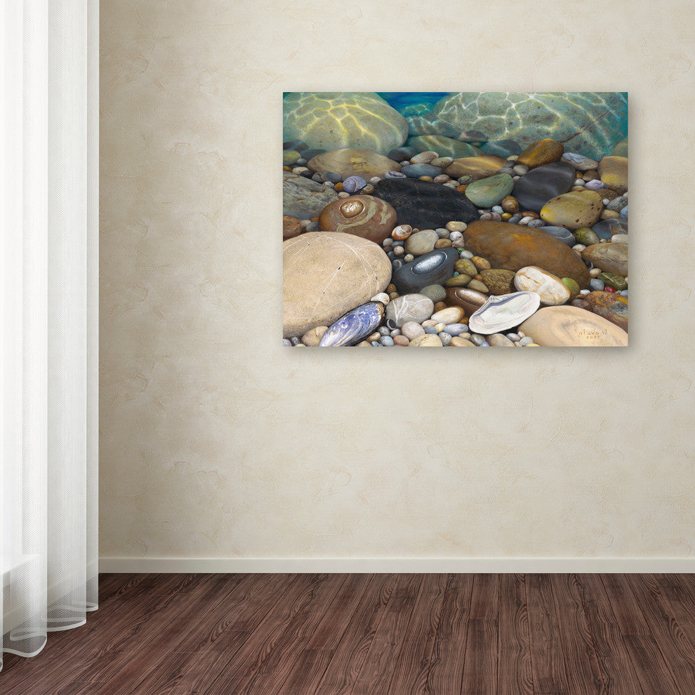 'Shoreline Treasures' Canvas Art by Stephen Stavast