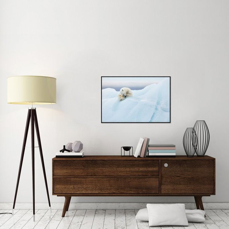 "Polar Bear Grooming" Framed Canvas Giclee by Joan Gil Raga, 37x25"
