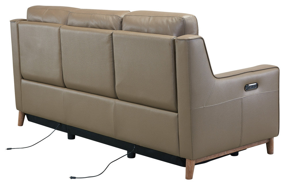 Wisteria Contemporary Sofa In Light Brown Wood Finish And Taupe Genuine Leather