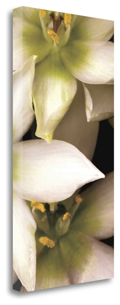 "Star Of Bethlehem Triptych" By Andrew Levine, Giclee on Gallery Wrap Canvas