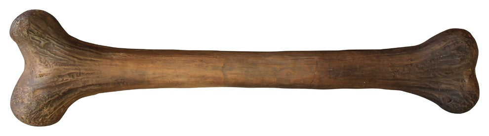 Small Bone