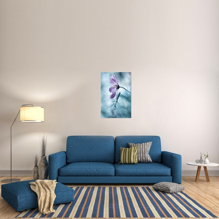 "Newtonian Physics" Stretched Canvas Giclee by Fabien Bravin, 24x36"