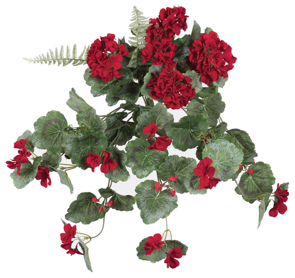 22"  Geranium Hanging Bush-Red