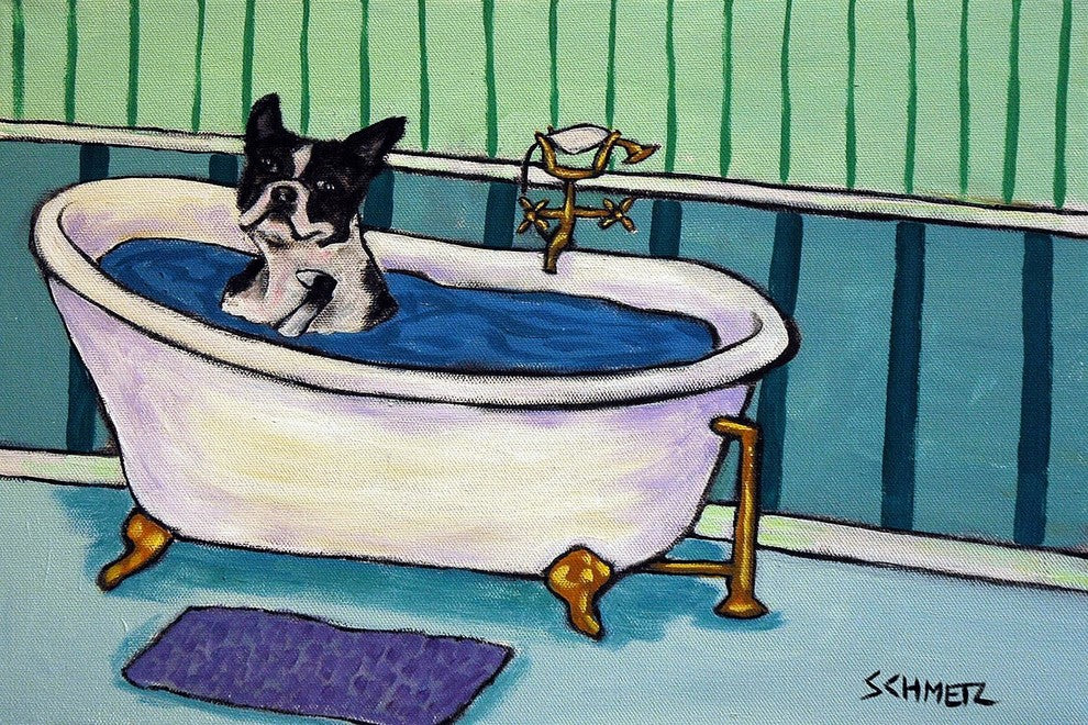 "Boston Terrier Bath" Painting Print on Wrapped Canvas, 36"x24"