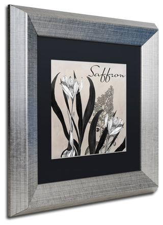 Color Bakery 'Flowering Herbs I' Art, Silver Frame, Black Matte, 11"x11"