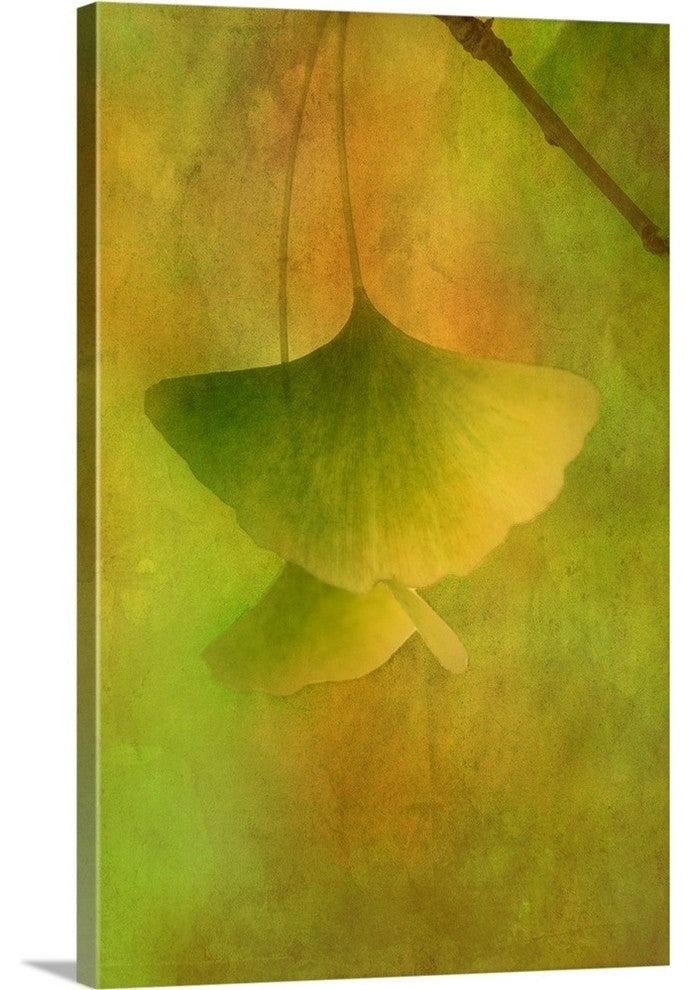 "Gingko Love" Wrapped Canvas Art Print, 24"x36"x1.5"