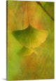 "Gingko Love" Wrapped Canvas Art Print, 24"x36"x1.5"