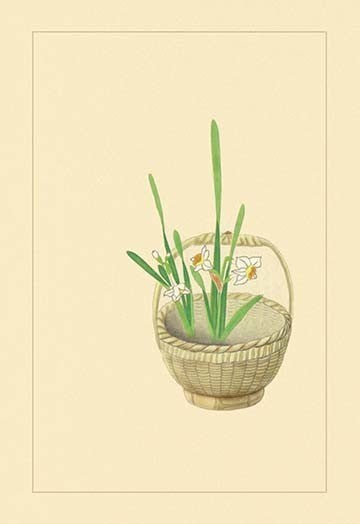 Narcissus - Gallery Wrapped Canvas Art 28" x 42"