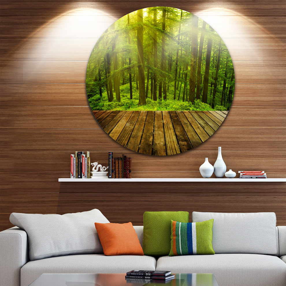 Golden Sunlight In Pine Forest, Landscape Photo Round Wall Art, 11"