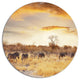 African Zebras Walking In Row, African Landscape Disc Artwork, 11"