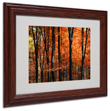 'Indisputable Truth' Matted Framed Canvas Art by Philippe Sainte-Laudy