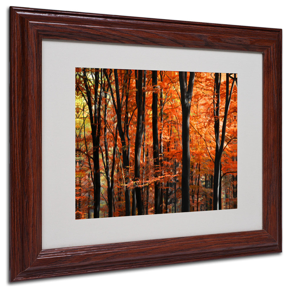 'Indisputable Truth' Matted Framed Canvas Art by Philippe Sainte-Laudy