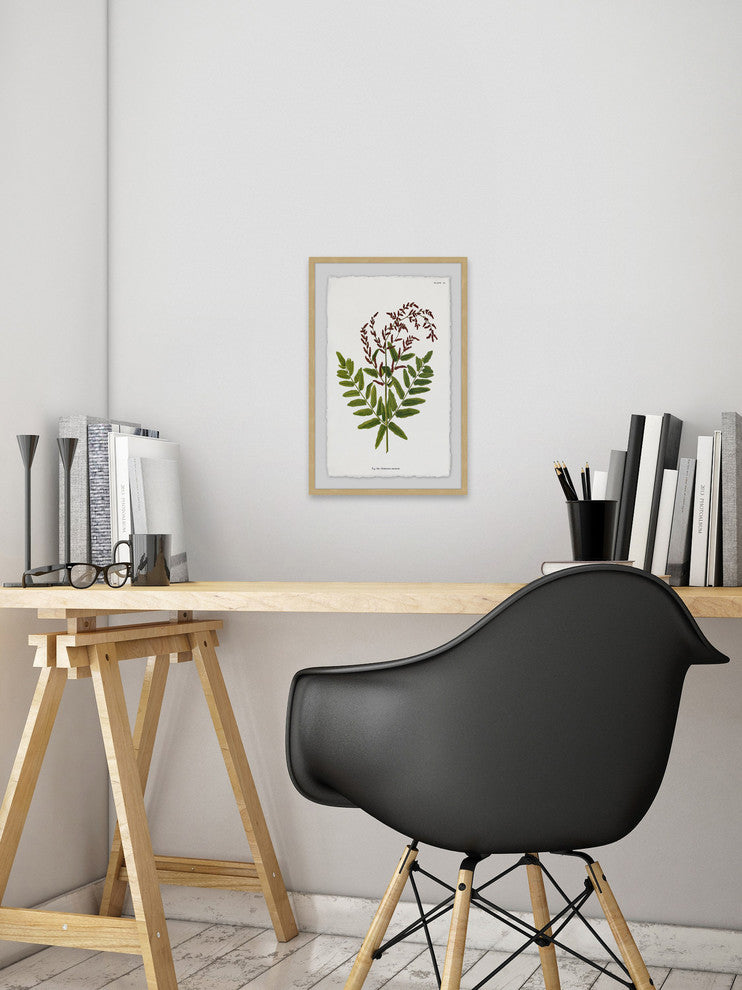 "Sympathy Ferns" Framed Painting Print, 12"x18"