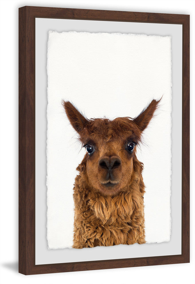 "Staring Llama" Framed Painting Print, 20"x30"