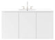 Bryn 48" Wall-Mount Bathroom Vanity