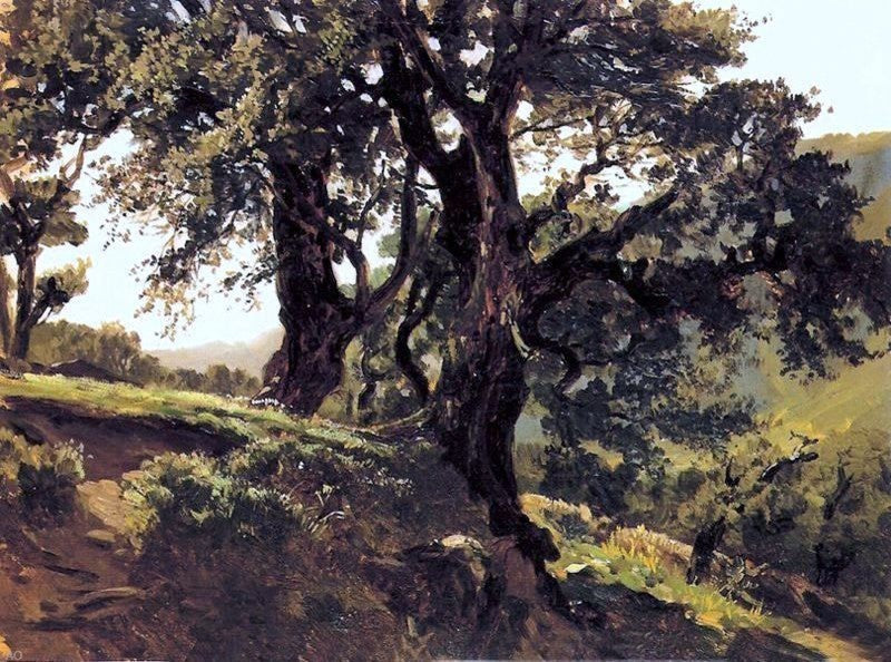 Carlos De Haes Robles, Gallery Wrapped Canvas Print, 21"x28"