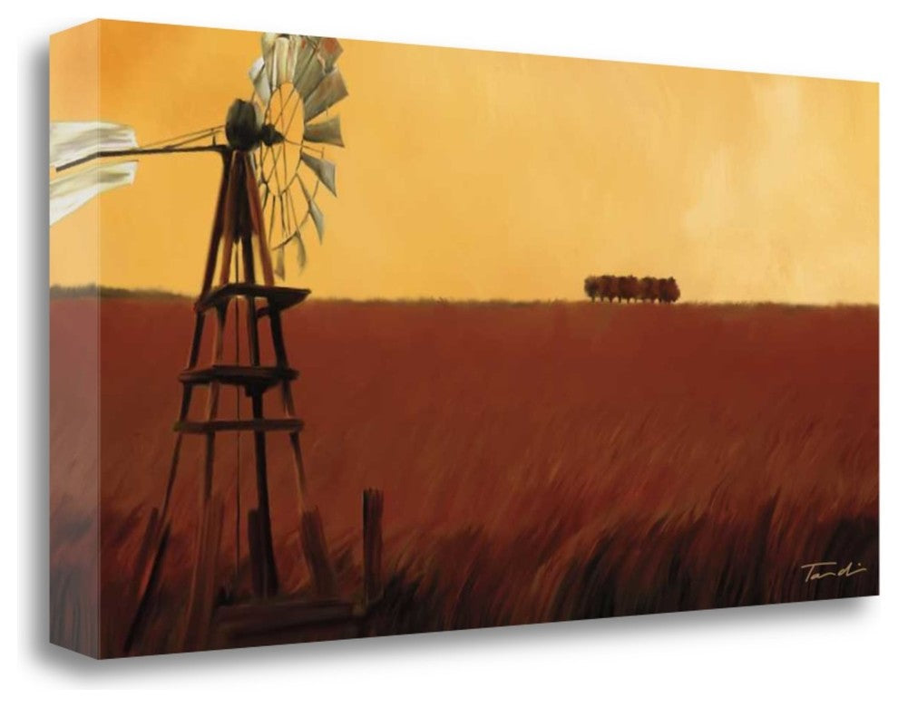"Homeland II" By Tandi Venter,Ready to Hang Giclee Print on Gallery Wrap Canvas
