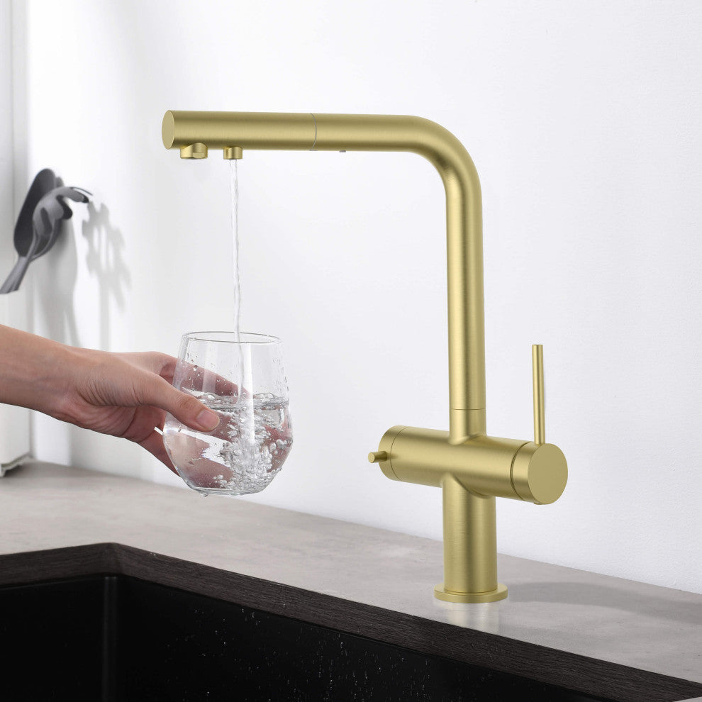 Circular 2-in-1 Water Filter Kitchen Pull Out Faucet, Brushed Gold