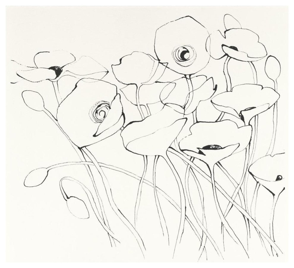 "Black Line Poppies I" Digital Paper Print by Shirley Novak, 32"x32"