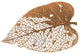 Birch Leaf Wall Art, Copper, Large