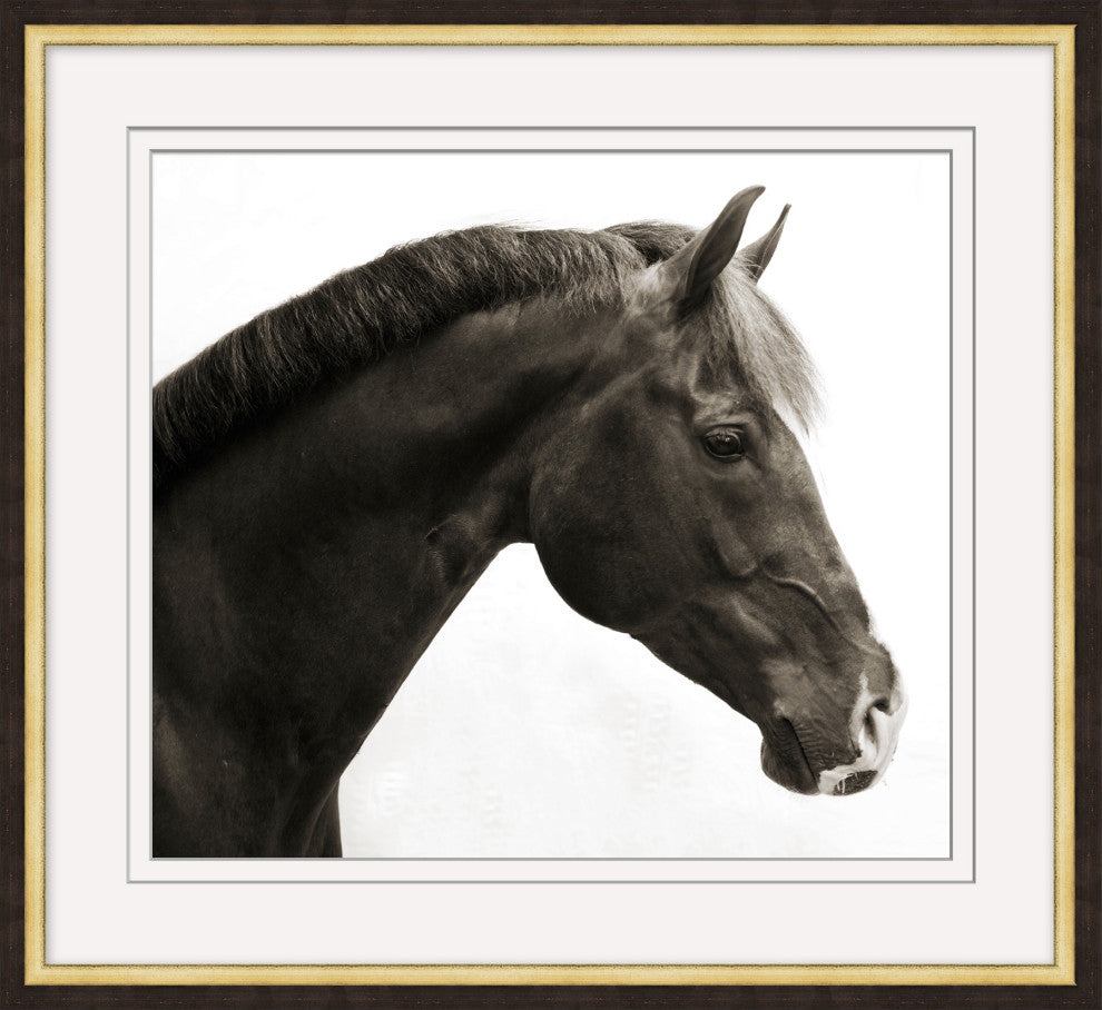 Don Juan, Giclee Reproduction Artwork
