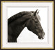 Don Juan, Giclee Reproduction Artwork