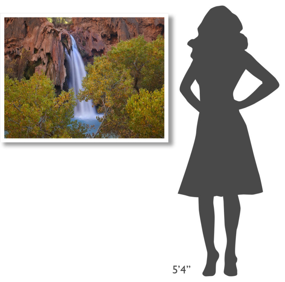 "Havasu Falls, Grand Canyon, Arizona" Paper Print by Tim Fitzharris, 42"x32"