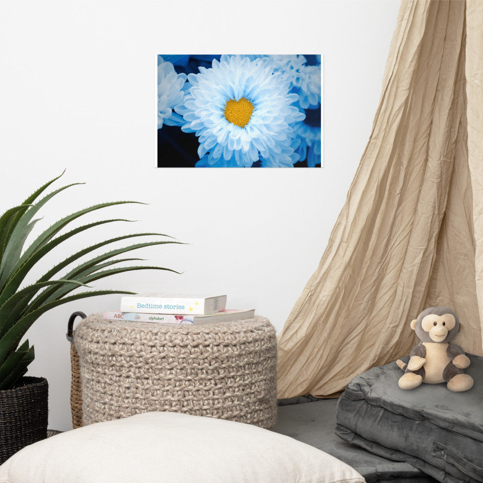 Blue Tinted Chrysanthemums Floral Nature Photo Loose Wall Art Print, 12" X 18"