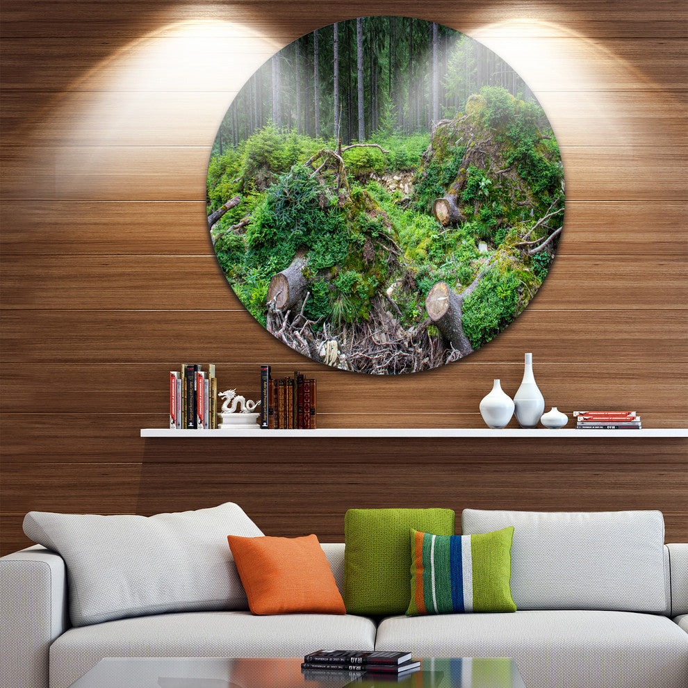 Wild Deep Forest Rocks And Hills, Landscape Disc Metal Wall Art, 23"