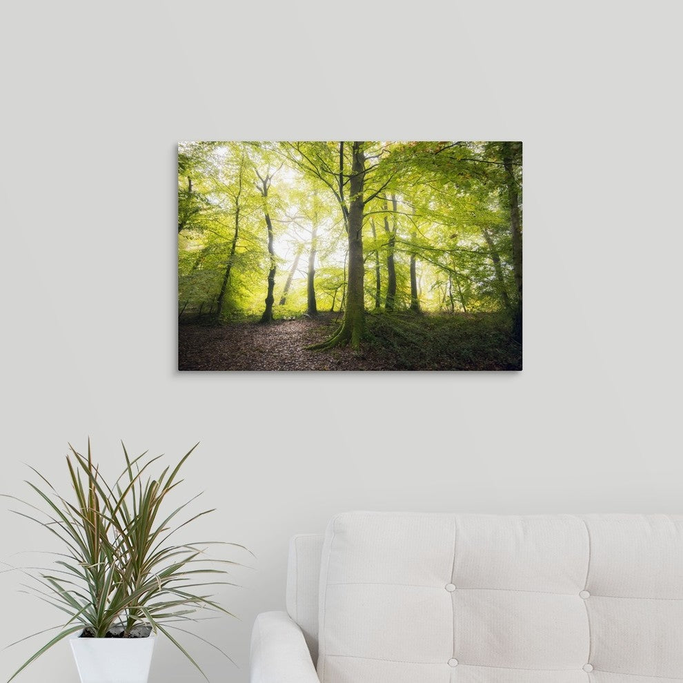 "Natural Light" Wrapped Canvas Art Print, 24"x16"x1.5"