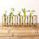 Tozai Lavoisier Set of 7 Small Hinged Flower Vases With Antiqued Gold Finish