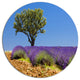 Lone Green Tree In Lavender Field, Landscape Round Wall Art, 23"