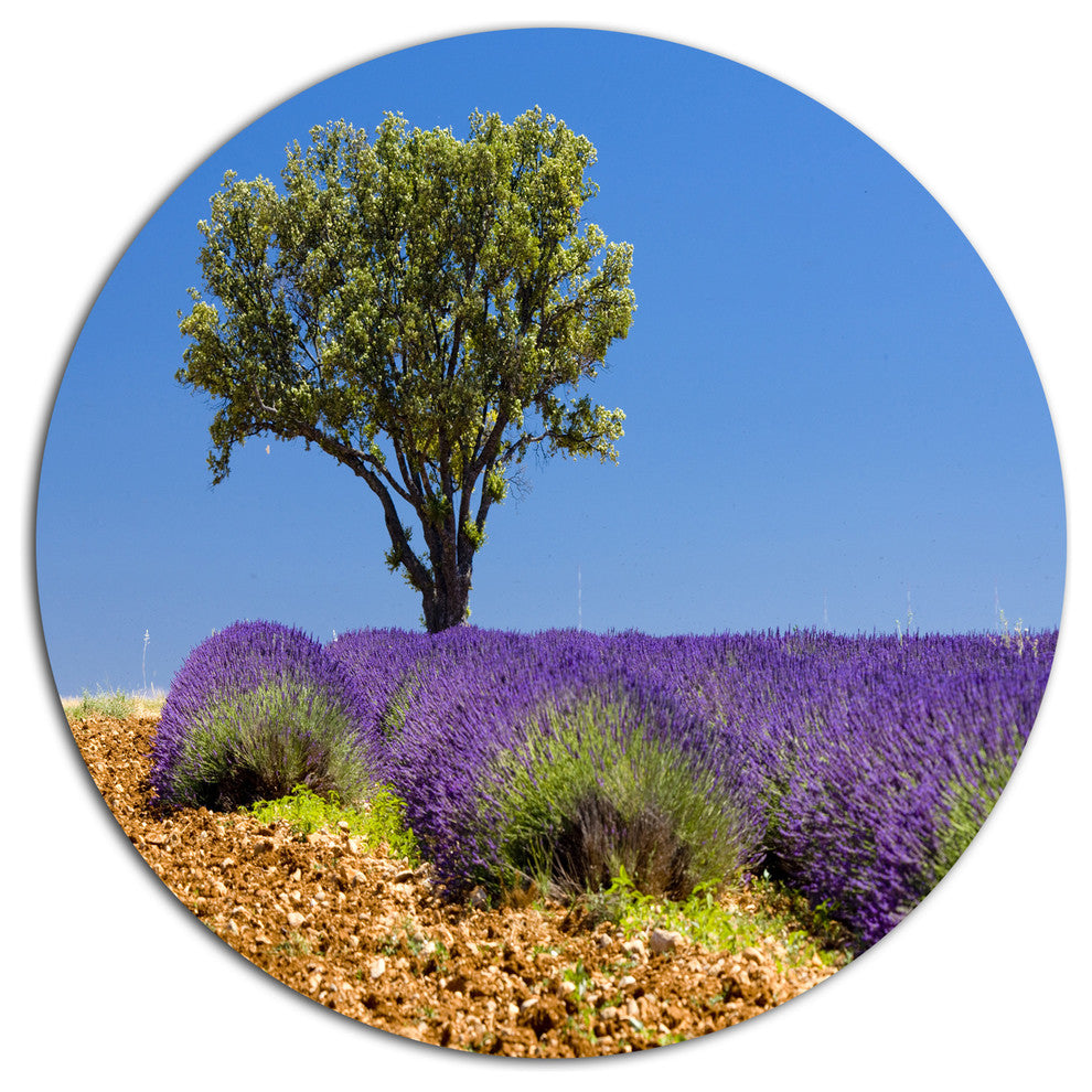 Lone Green Tree In Lavender Field, Landscape Round Wall Art, 23"