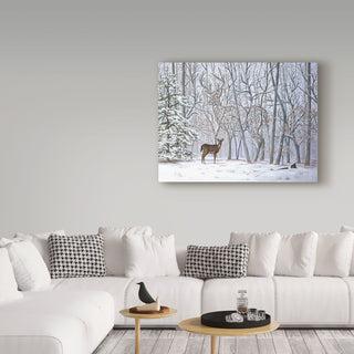 "Big Buck     " by D. Rusty Rust, Canvas Art