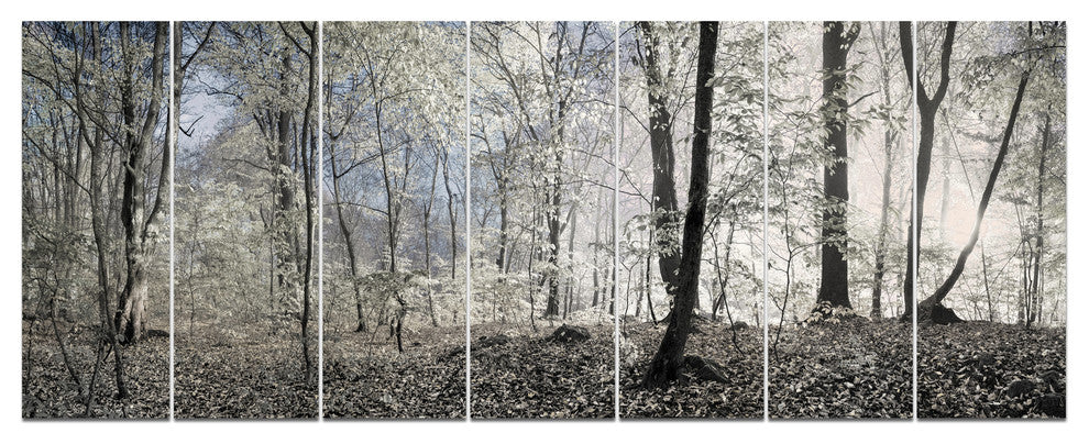 Dark Morning in Forest Panorama, Landscape Canvas Art Print, 83"x32", 7 Panels