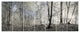 Dark Morning in Forest Panorama, Landscape Canvas Art Print, 83"x32", 7 Panels