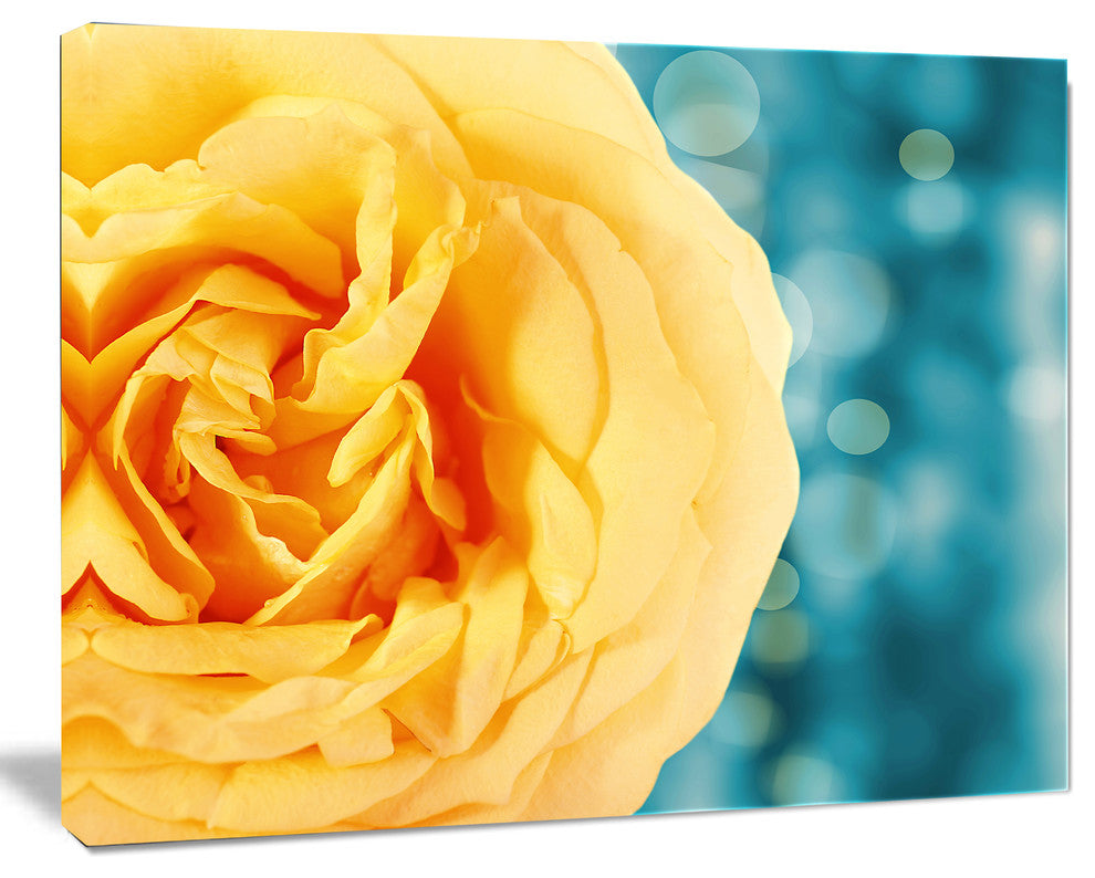 Rose Flower with Lit up Background, Large Floral Canvas Artwork, 20"x12"