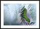 "Eating Machine" Framed Digital Print by Jimmy Hoffman, 44x32"