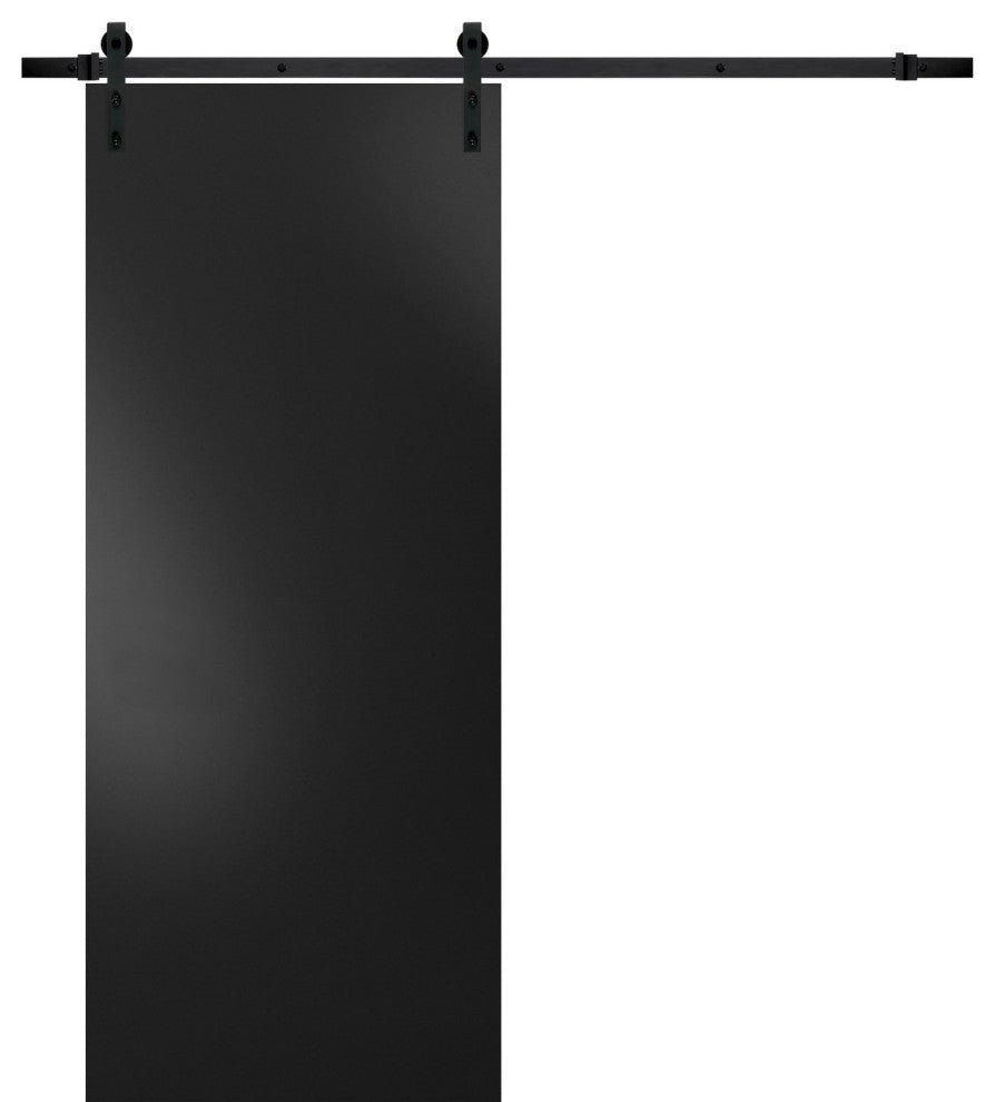 Barn Door 30 x 96 & Hardware | Planum 0010 Black Matte | 6.6FT Rail Kit