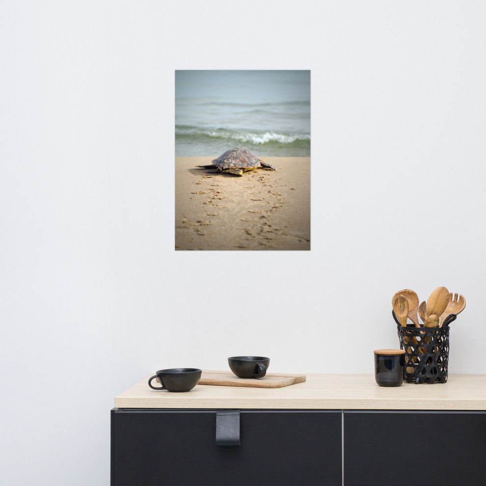 Baby Loggerhead Sea Turtle Beach Ocean Photograph Loose Wall Art Print, 18" X 24"
