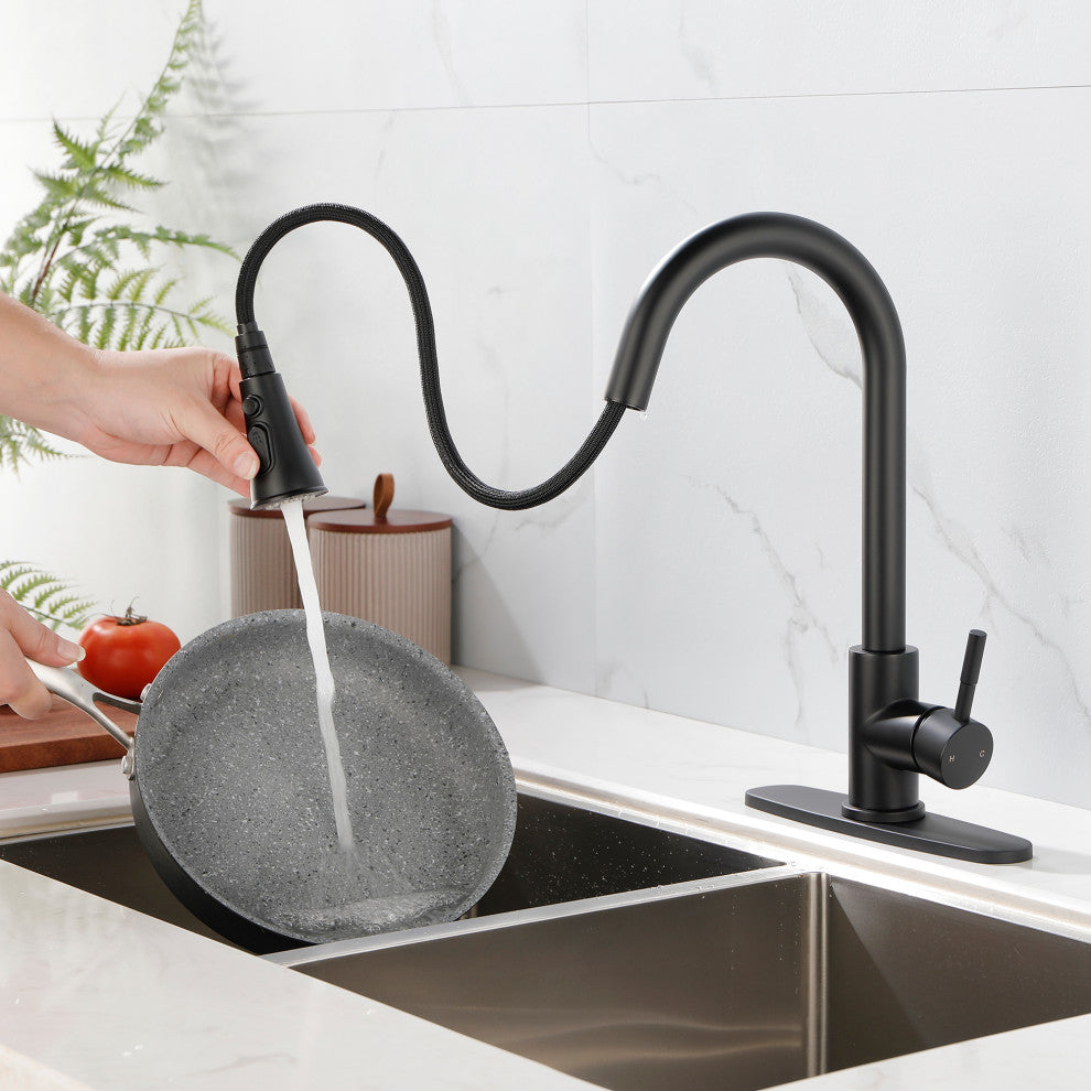 Wellfor Stainless Steel Kitchen Sink Faucet with Pull Down Spray, Matte Black