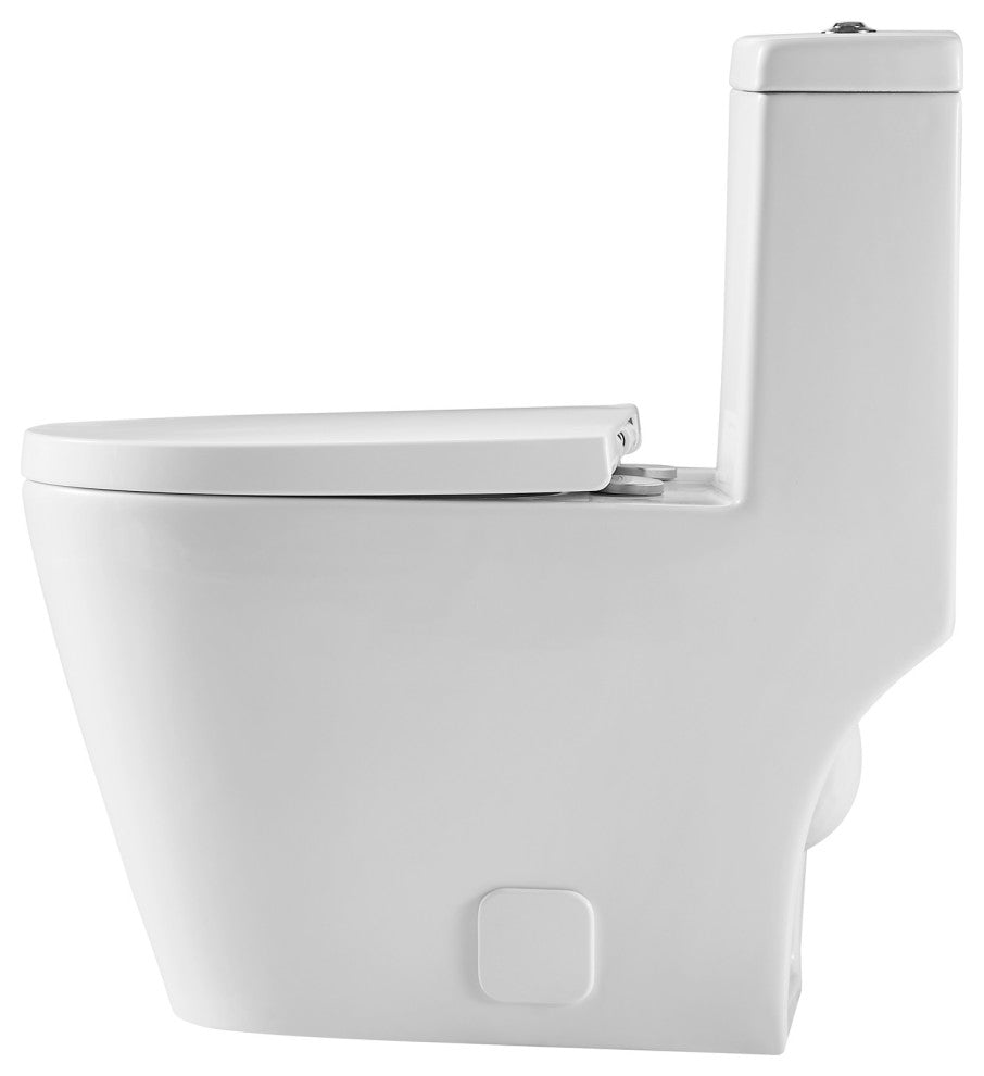 12 inches 0.88/1.2GPF Dual Flush One-Piece Toilet with Soft Close Seat